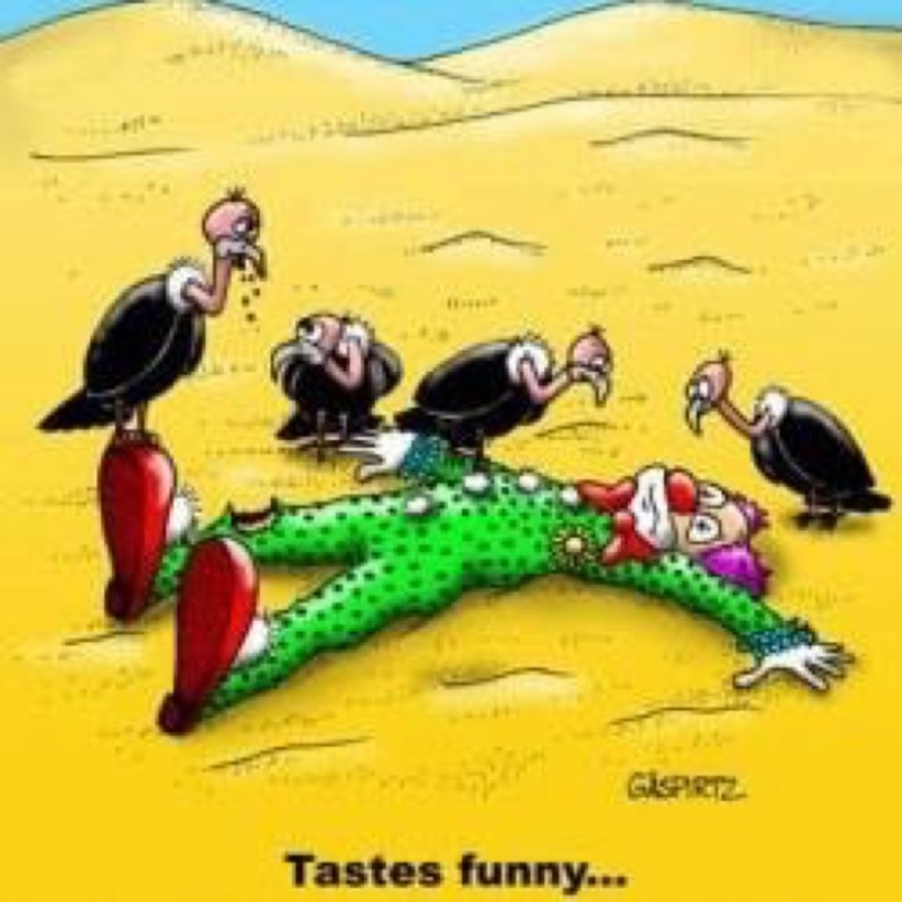 Meet your Posher, Roger